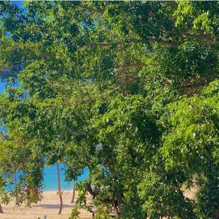 Beach Apartment, Pool View Dominican Bay Boca Chica Exterior foto