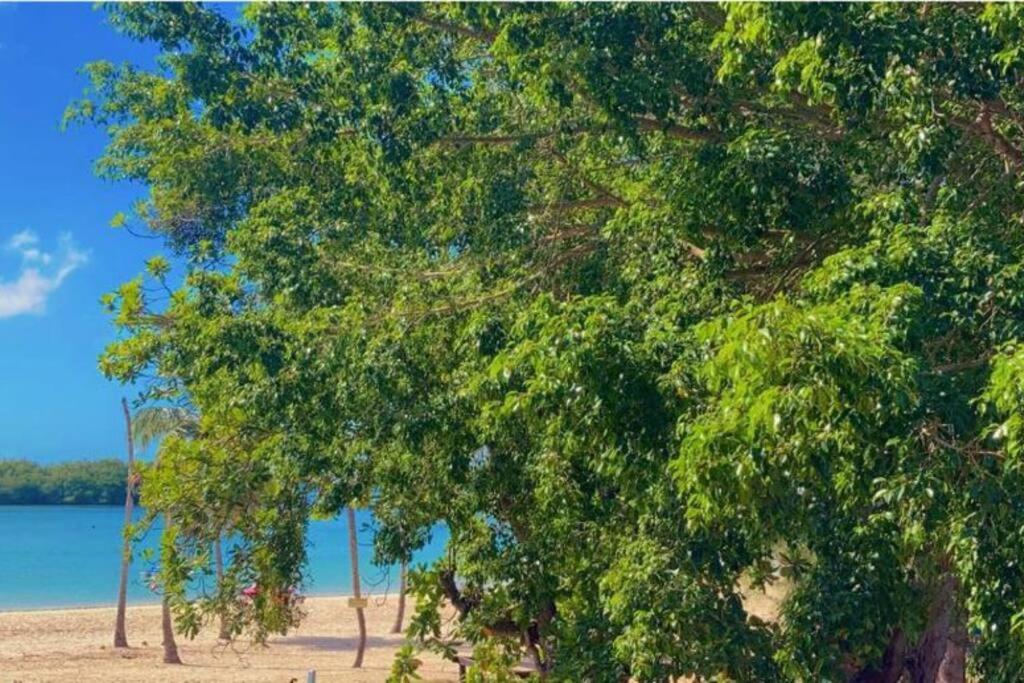 Beach Apartment, Pool View Dominican Bay Boca Chica Exterior foto